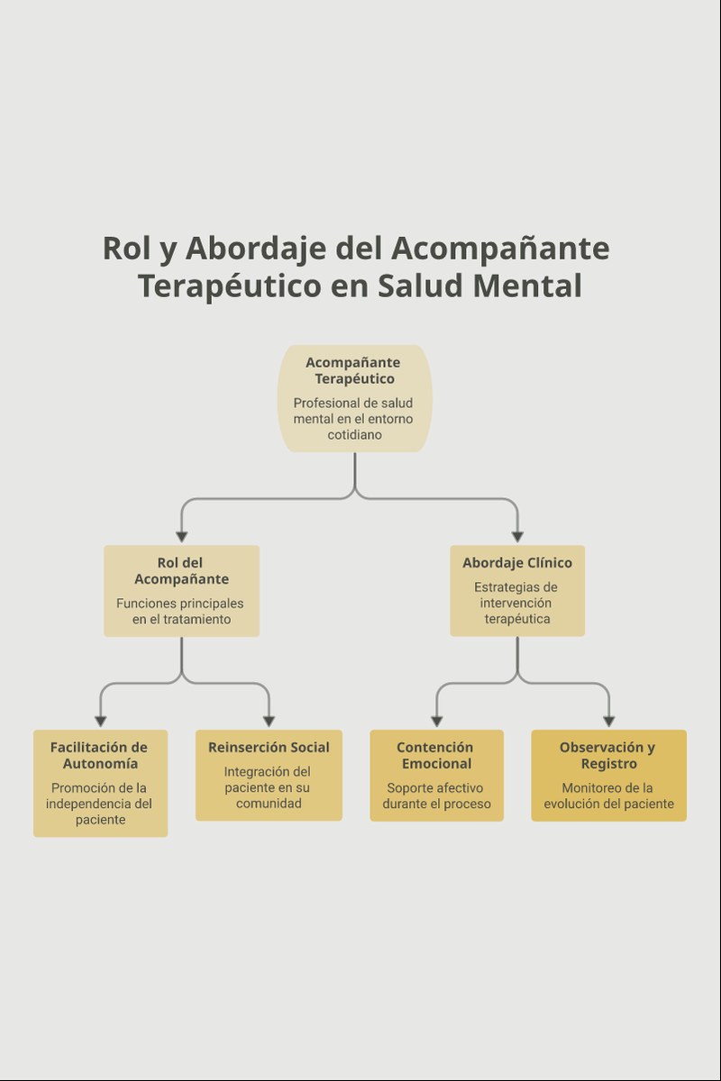 Esquema conceptual del abordaje y competencias en el acompañamiento terapéutico en salud mental