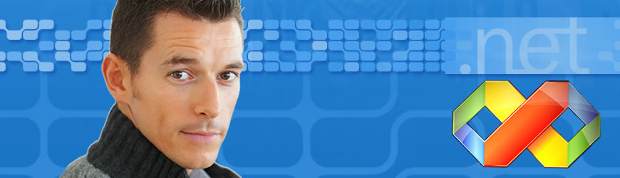 Experto en Programación con Visual Basic.Net