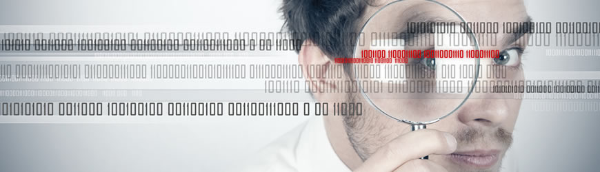 Curso de Seguridad Informática para Profesionales IT